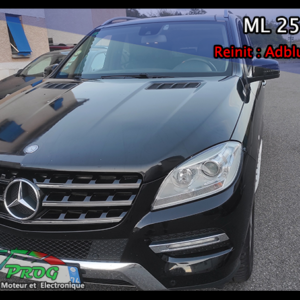 ML 250 2.2 CDI  BlueTEC 204 cv Boîte auto Problème d’Adblue et FAP