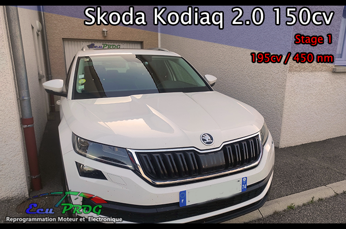 Skoda Kodiaq 2.0 tdi 150 cv Stage 1